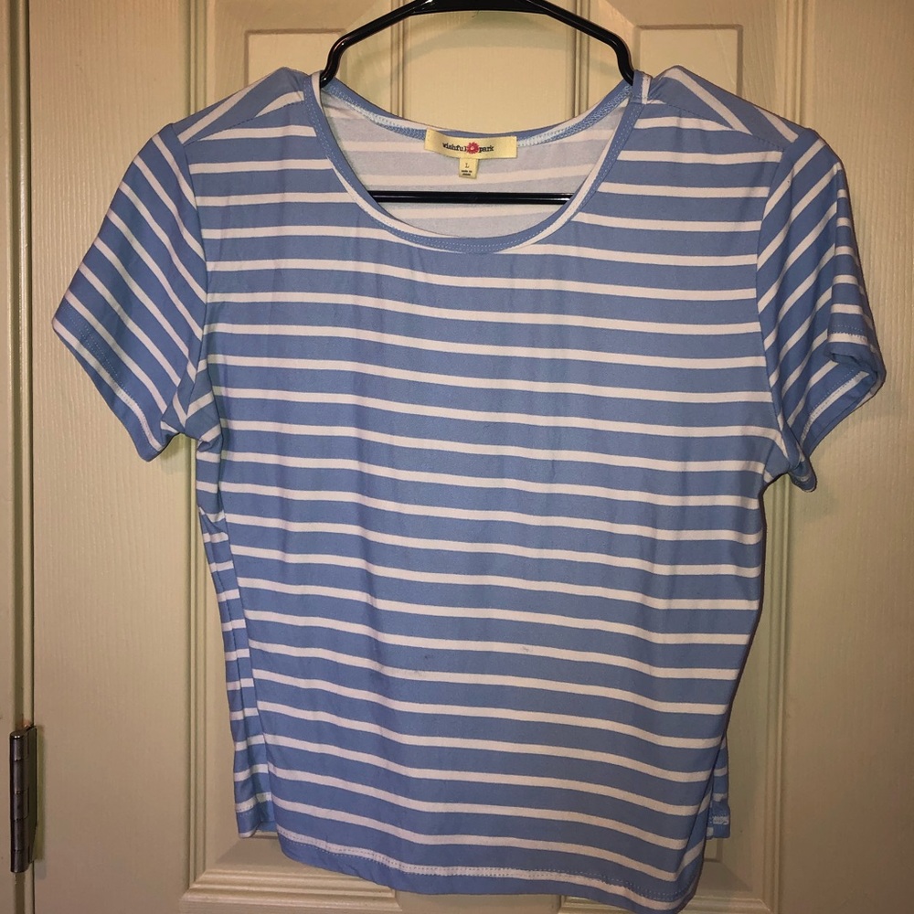 Light blue stripped crop top